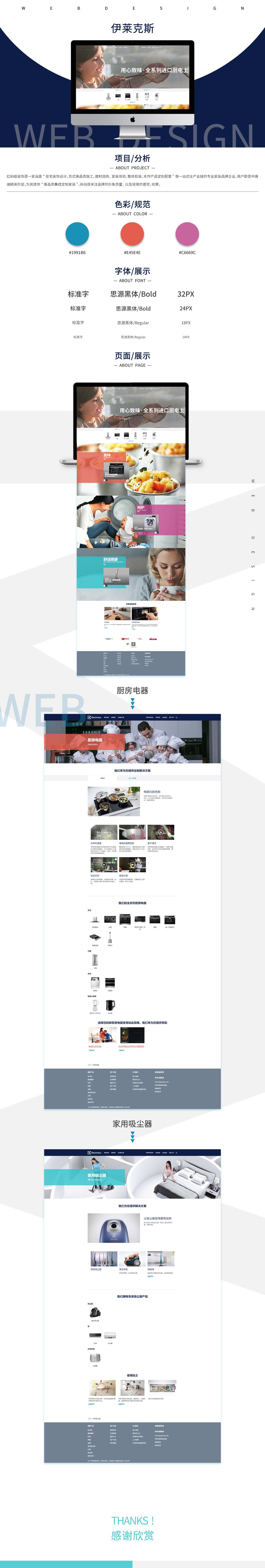 伊萊克斯網(wǎng)站案例