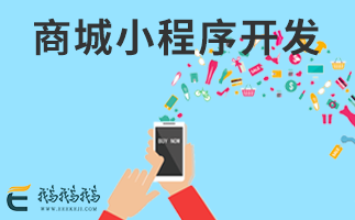 蘇州小程序開發公司