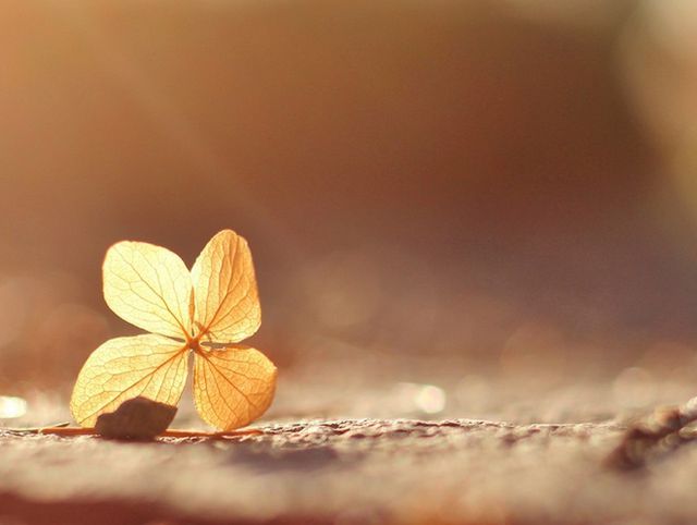 H5自助建站:沒有程序員也能建立炫酷網站